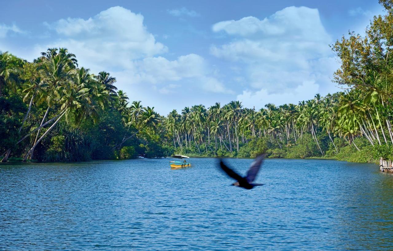 Estuary Sarovar Premiere Poovar Island Екстериор снимка